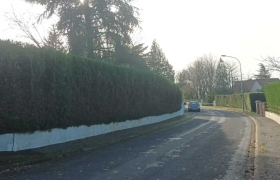 Elagueur Chatellerault